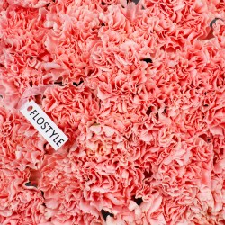 bolshoj stojkij buket diantusov 7